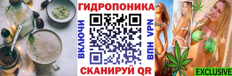 как найти   Балтийск  Cannafood конопля 