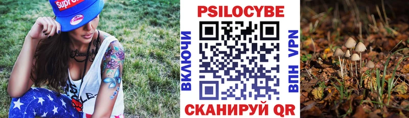 Псилоцибиновые грибы мухоморы  Балтийск 