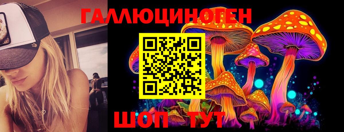 Псилоцибиновые грибы Psilocybine cubensis  Вход с VPN  Балтийск 